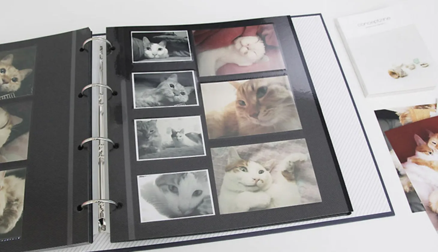 Giant 4 Ring Binder Photo Album Refill