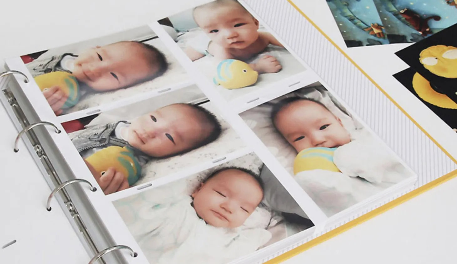 Giant 4 Ring Binder Photo Album Refill