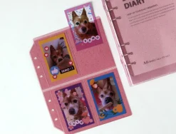 Glitter 6 Ring A6 Wide Card Pocket Refill