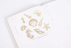 Gold Four Seasons Rub-on Sticker
