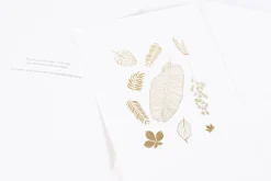 Gold Four Seasons Rub-on Sticker