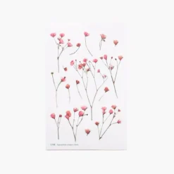 Gypsophila Pressed Flower Sticker