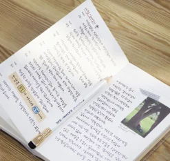 Half a Year Weekly Handy Planner