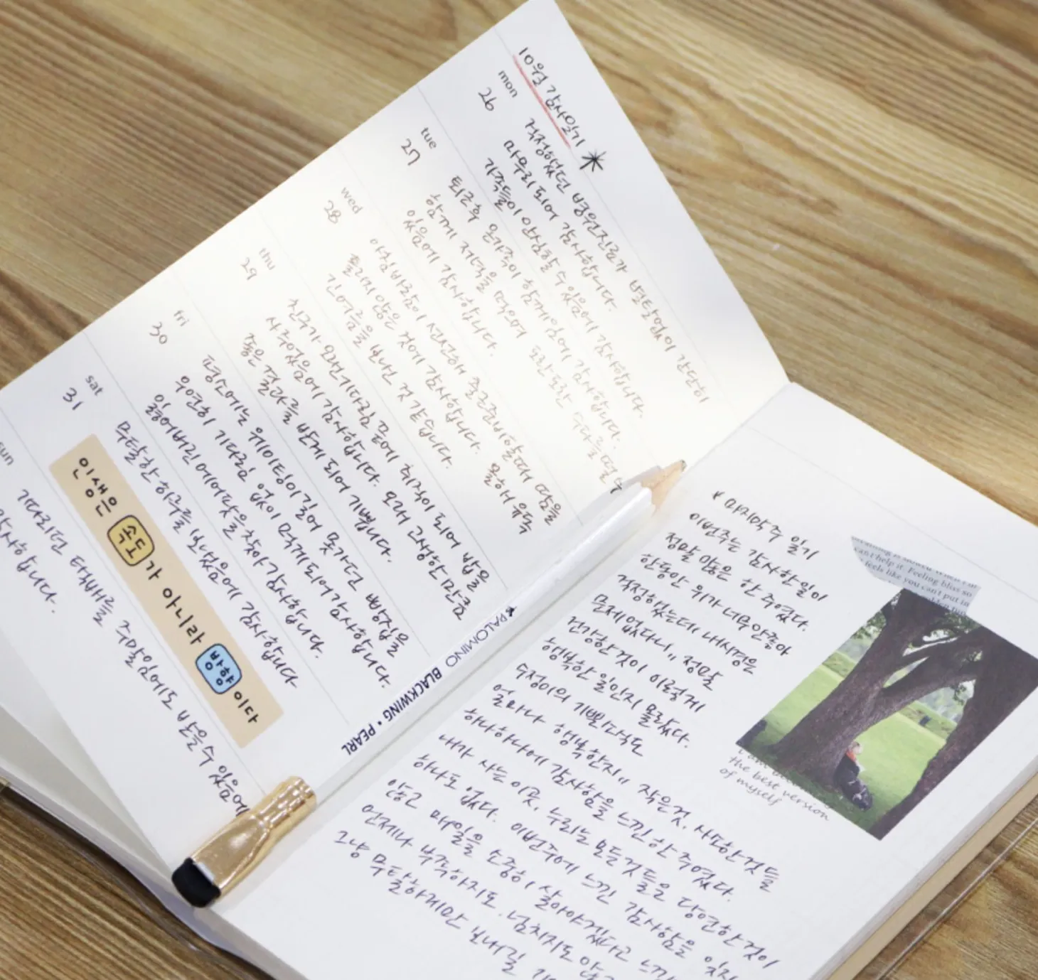 Half a Year Weekly Handy Planner