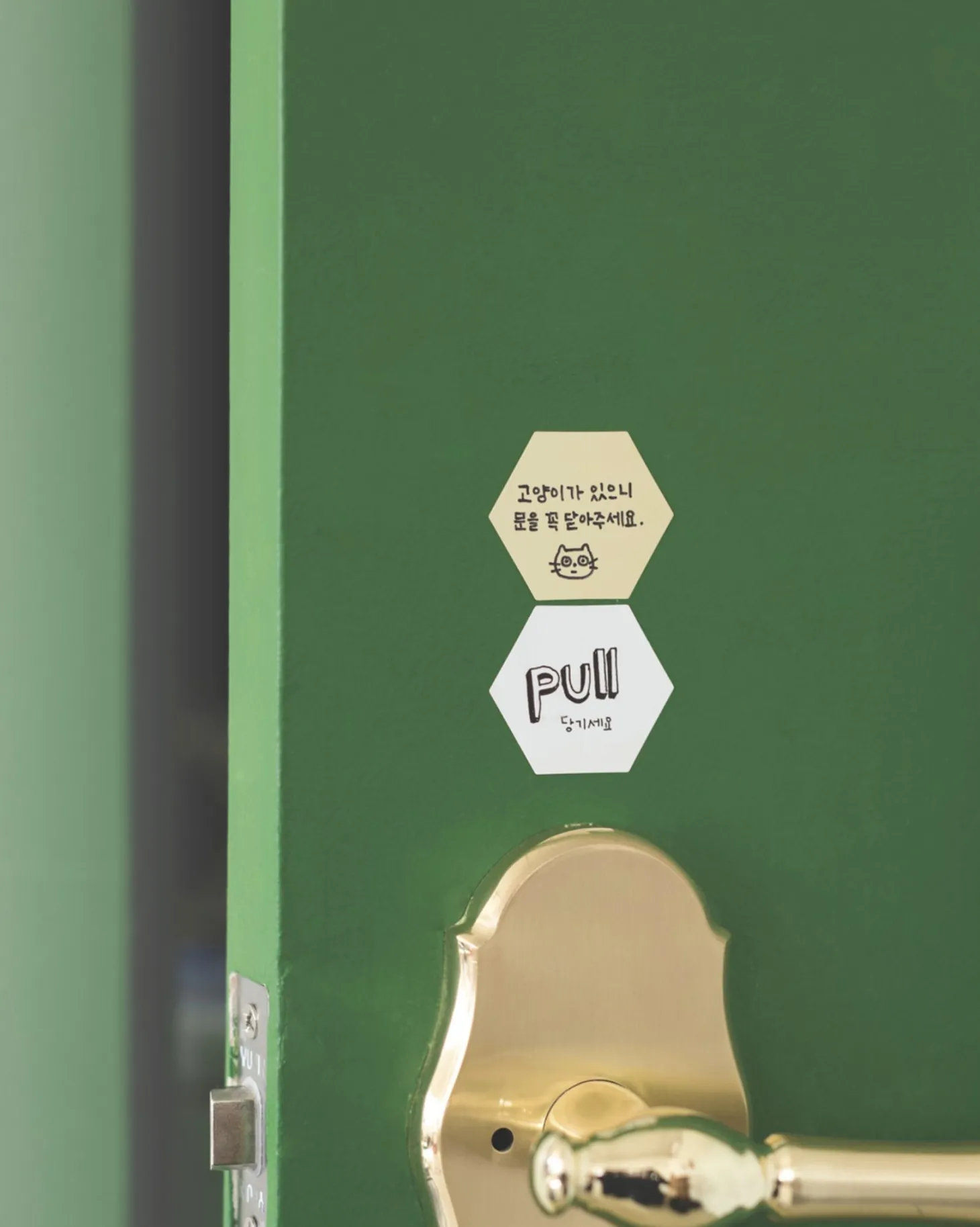 Hexagon Removable Index Sticker