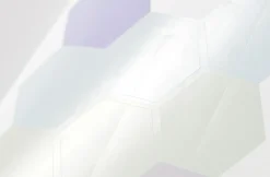 Hexagon Removable Index Sticker