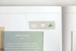 Illustration Masking Tape v1