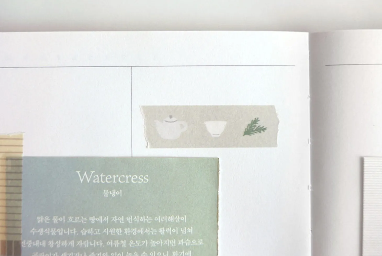 Illustration Masking Tape v1