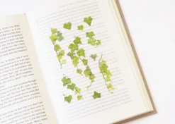 Ivy Pressed Flower Sticker