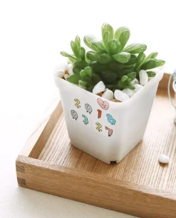JAM JAM Alphabet Masking Tape (O-Z, Numbers)