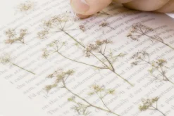Lace Pressed Flower Sticker