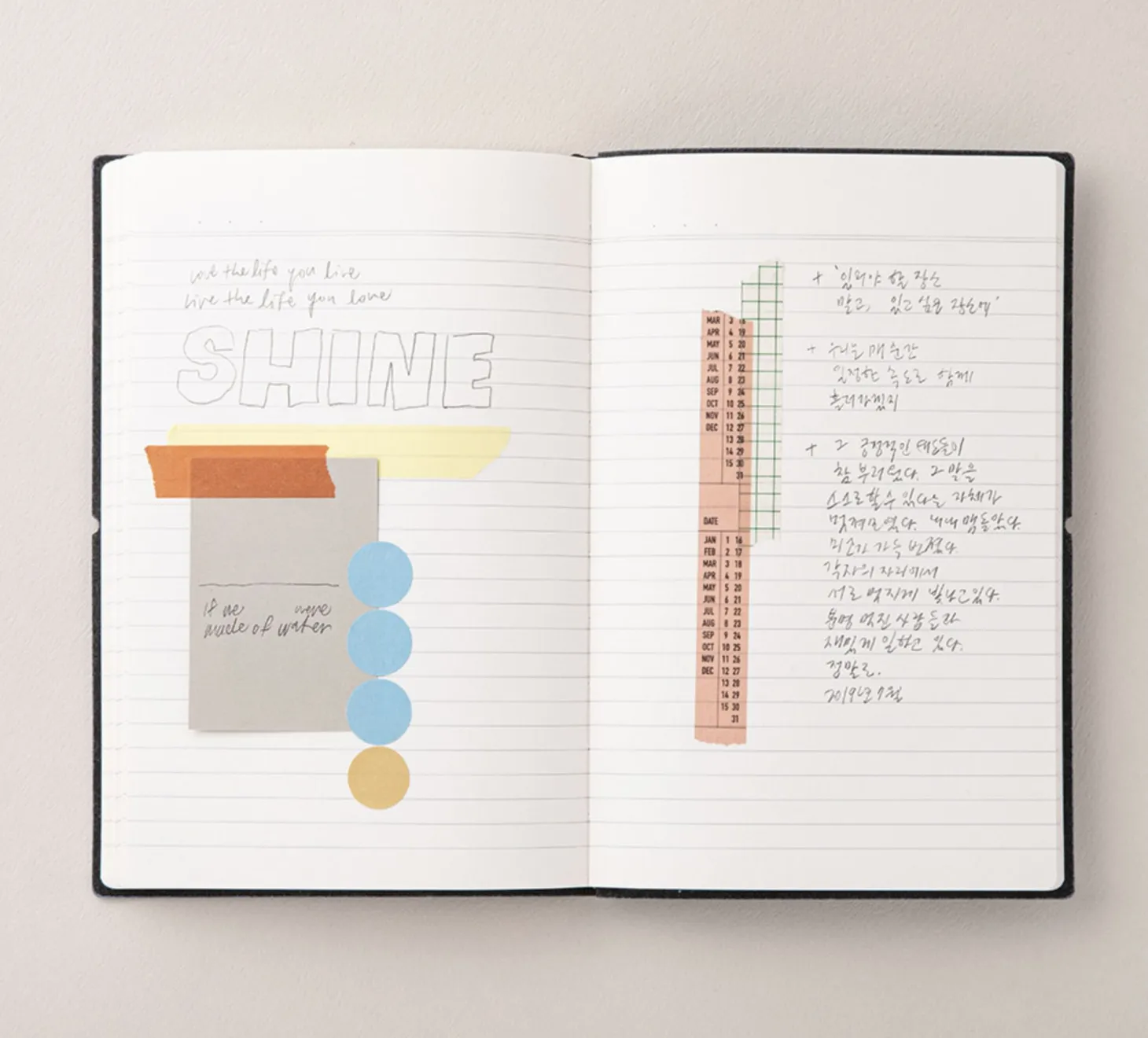 Large Agenda Lined Notebook v4