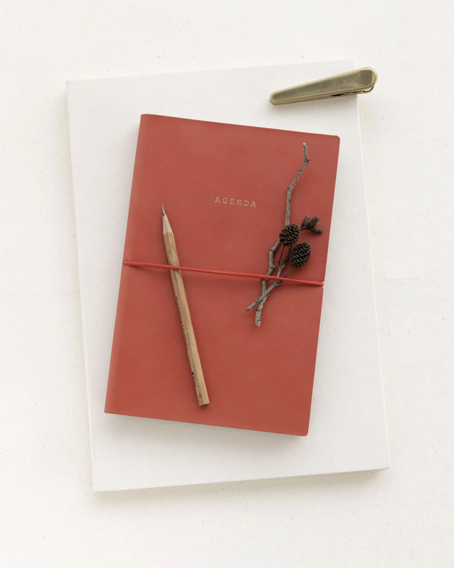 Large Agenda Lined Notebook v4