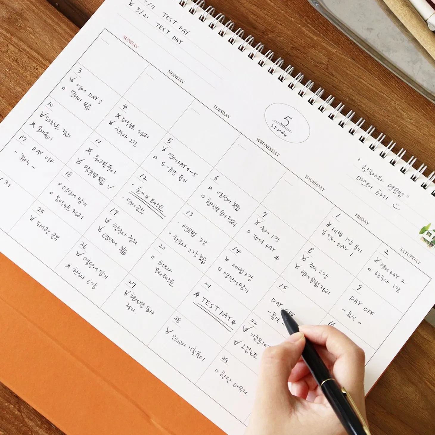 2026 Large Anne Story Desk Scheduler