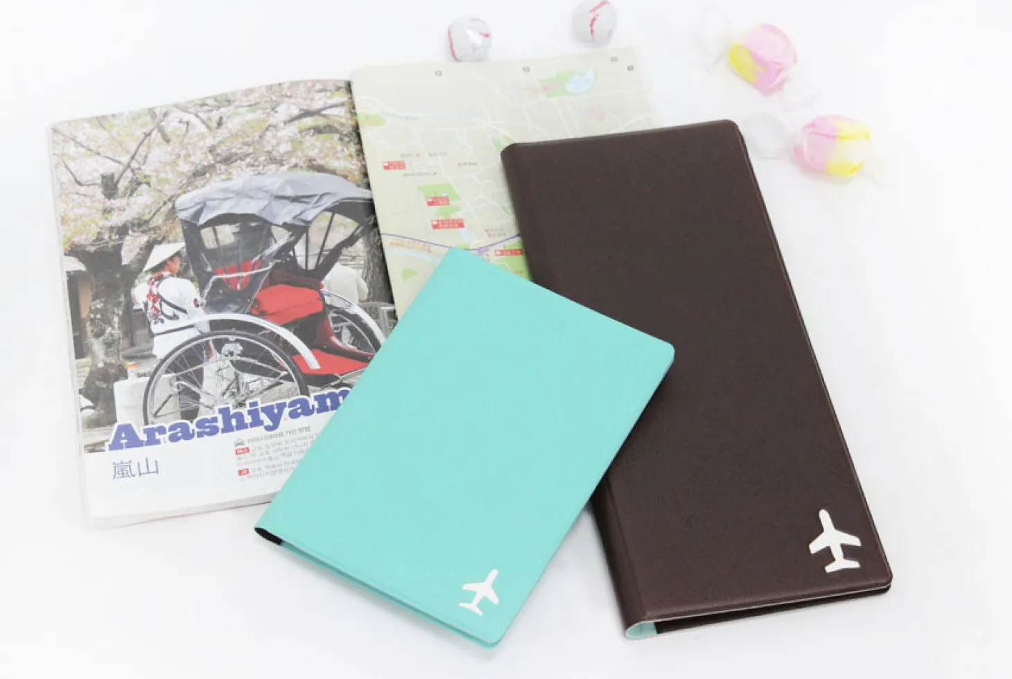 Large Anti Skimming Passport Case