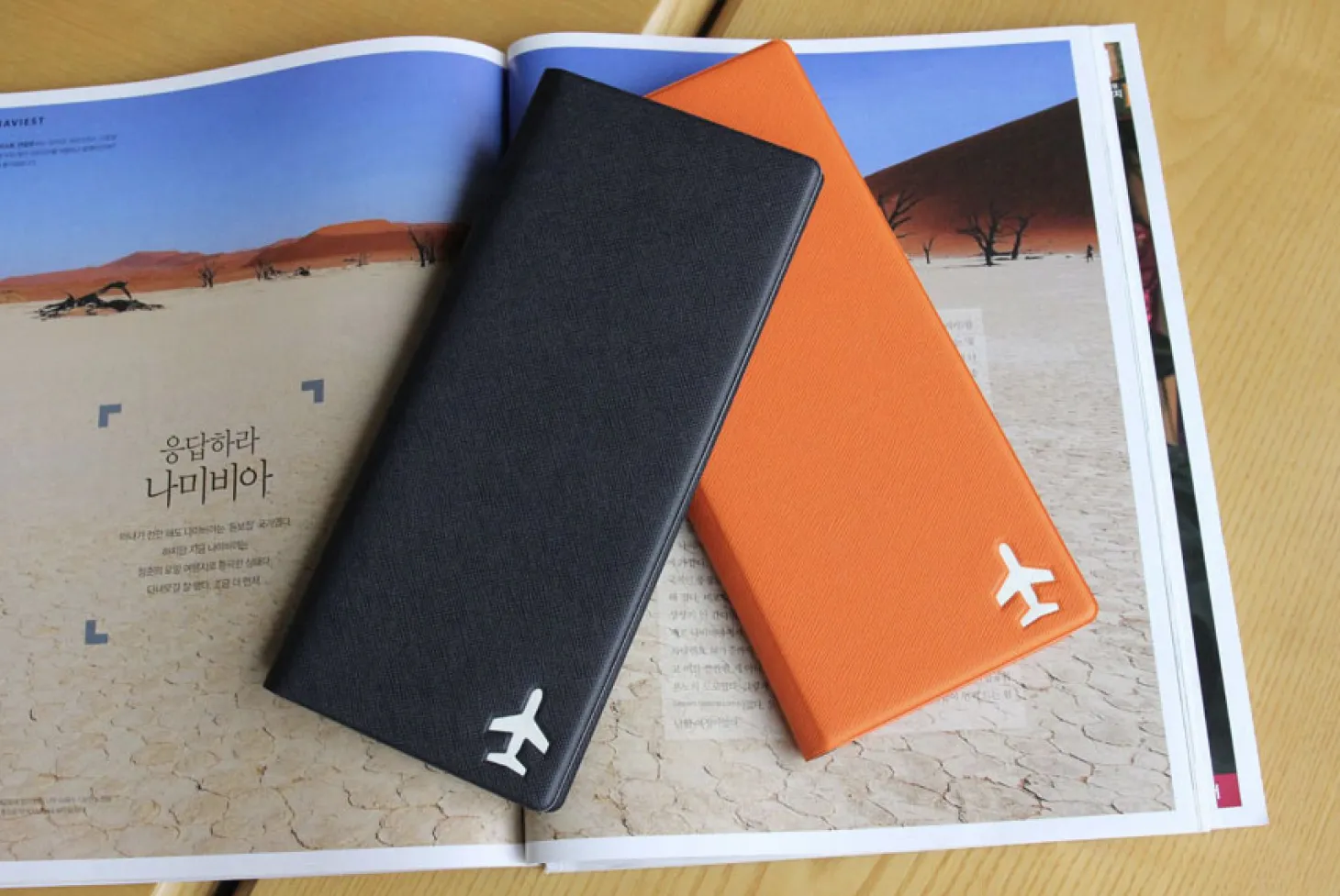 Large Anti Skimming Passport Case