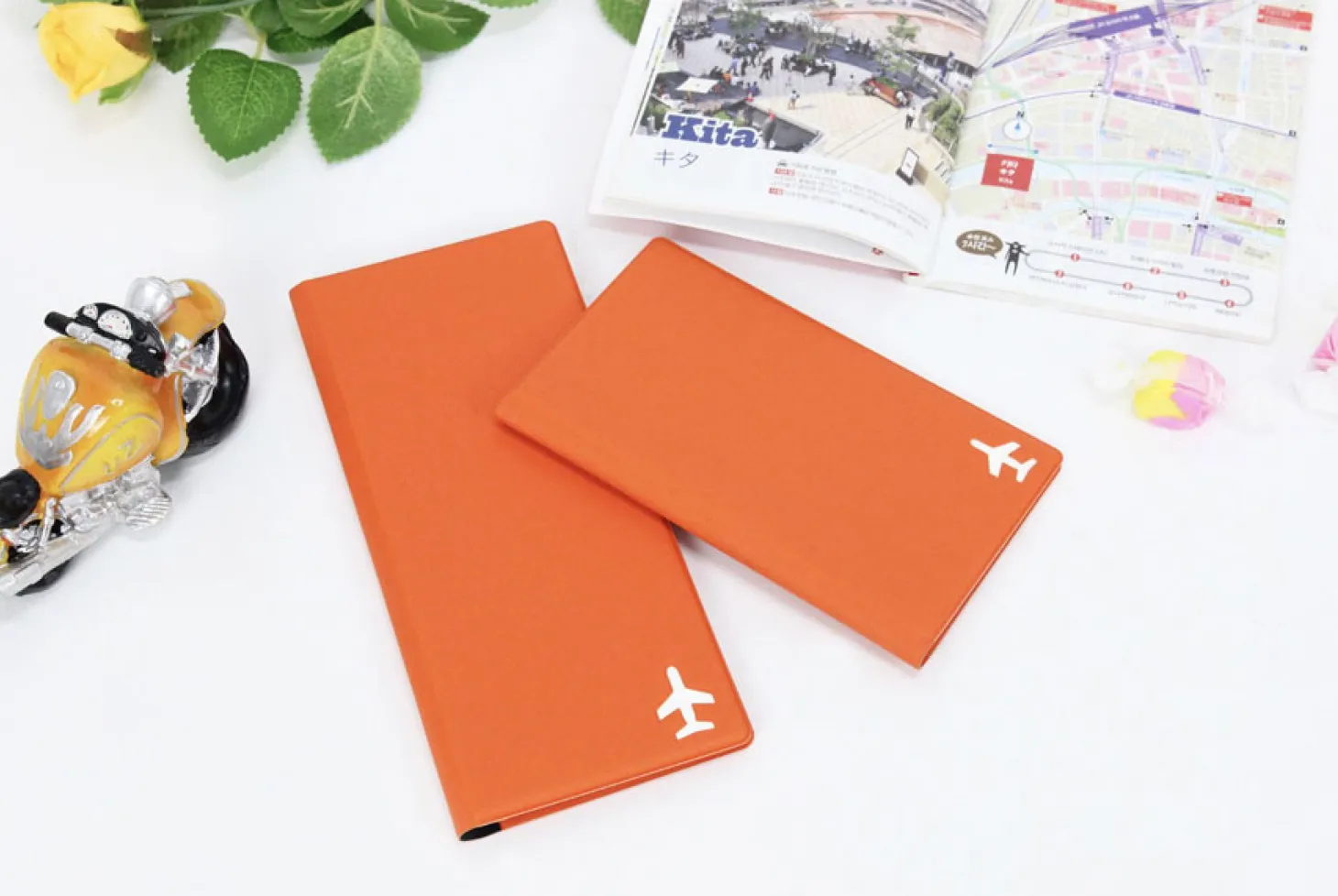 Large Anti Skimming Passport Case