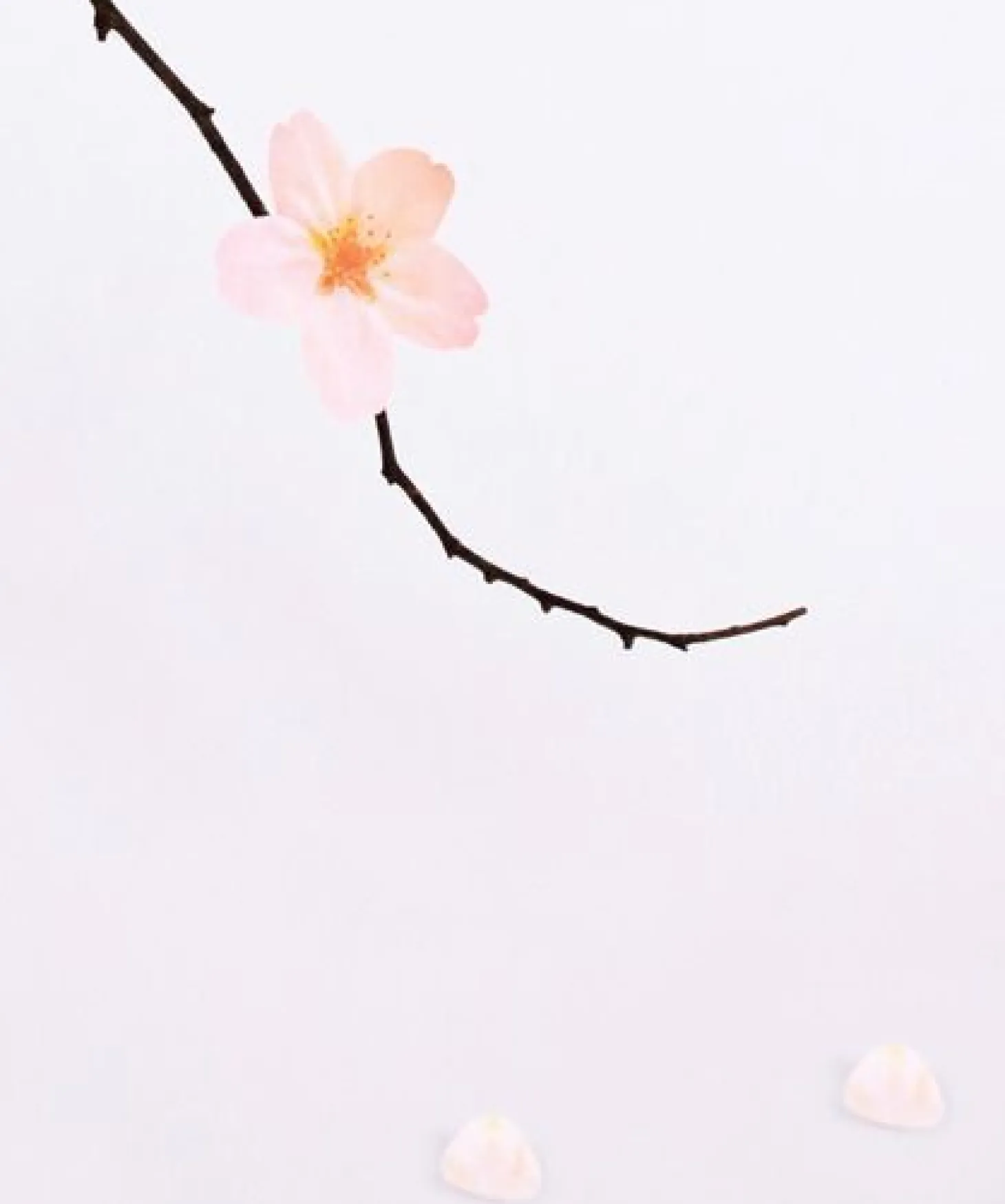 Large Cherry Blossom Sticky Note