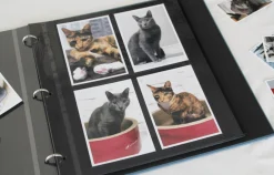 Large Daily Binder Album Refill