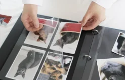 Large Daily Binder Album Refill