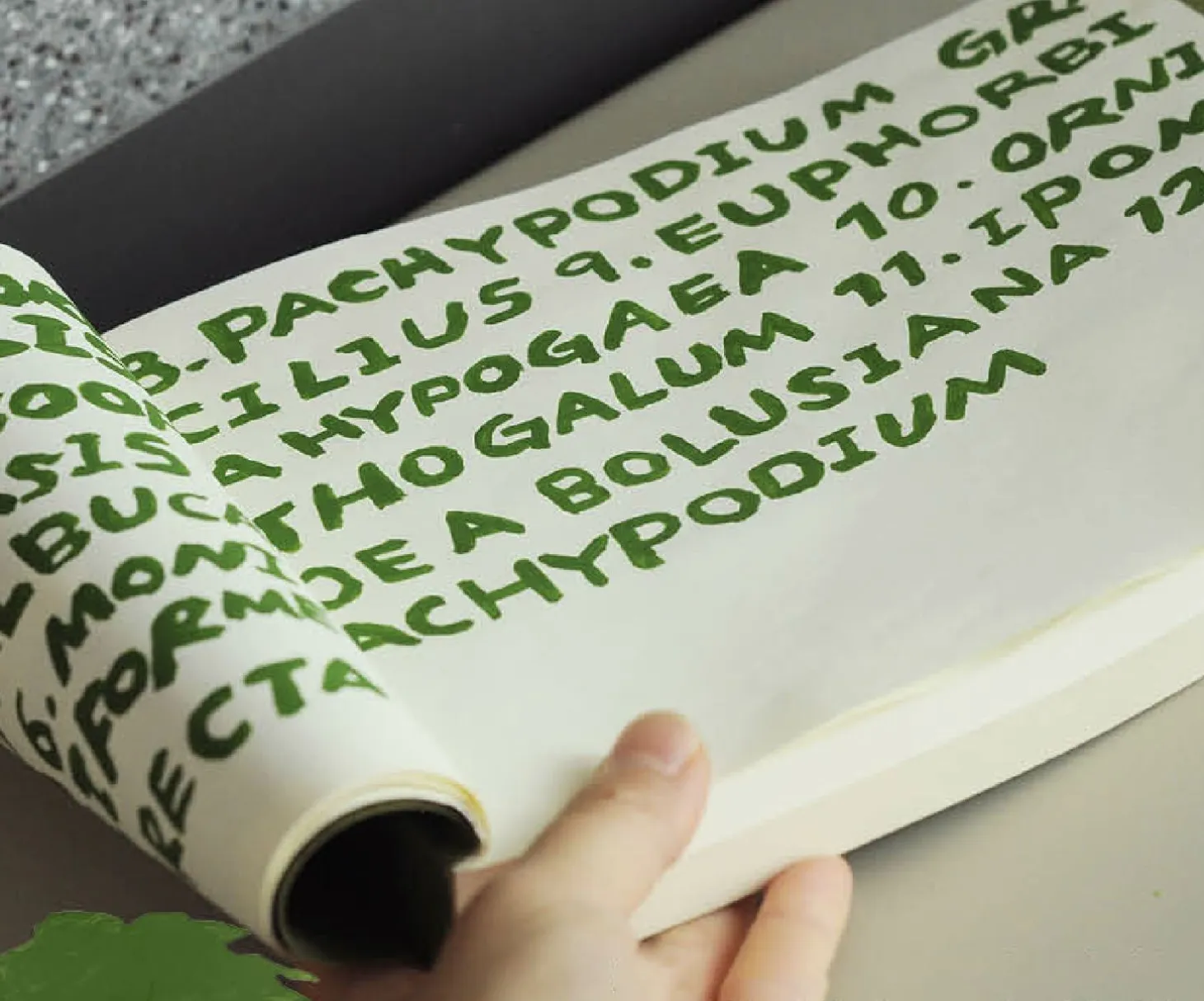 Large Elemental Drawing Book