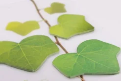 Large Ivy Leaf Sticky Note