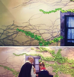 Large Ivy Leaf Sticky Note