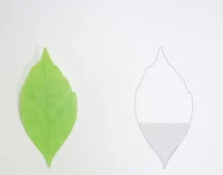 Large Leaf Sticky Note