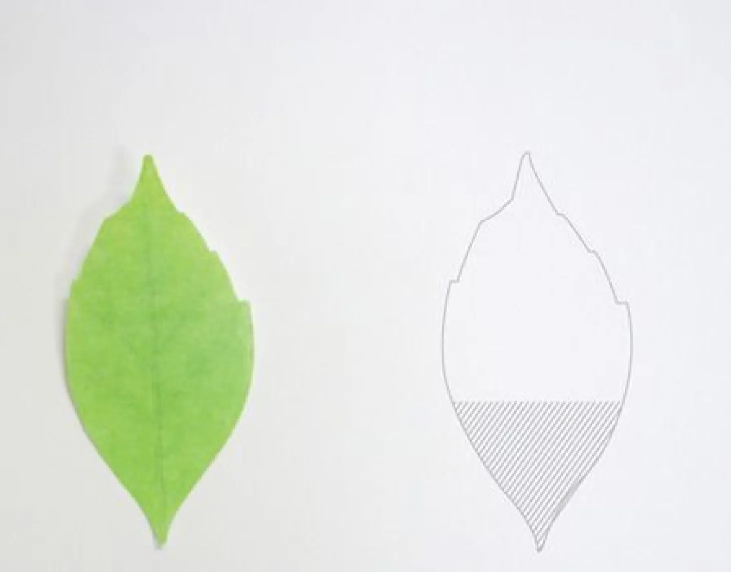 Large Leaf Sticky Note