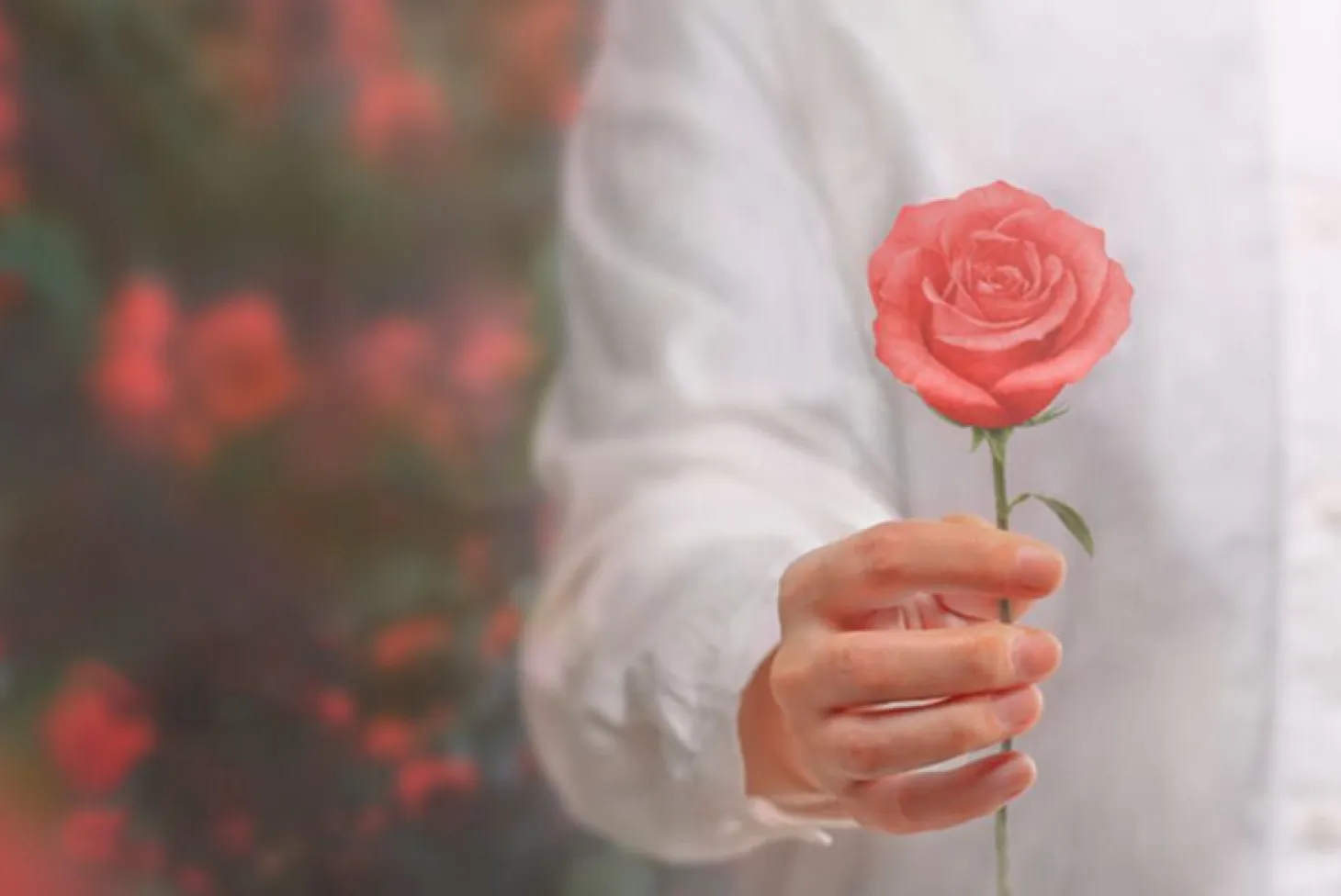 Large Rose Sticky Note