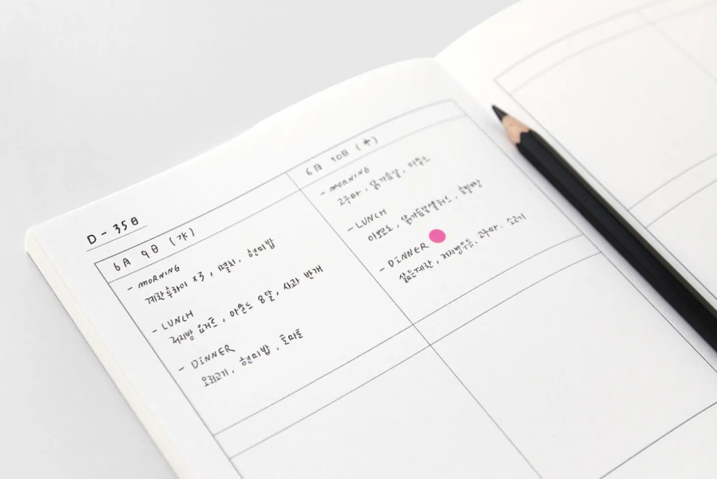 Large 8 Steps Notebook