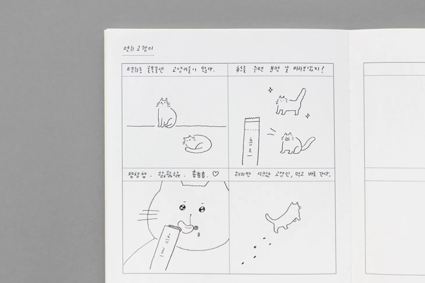 Large 8 Steps Notebook