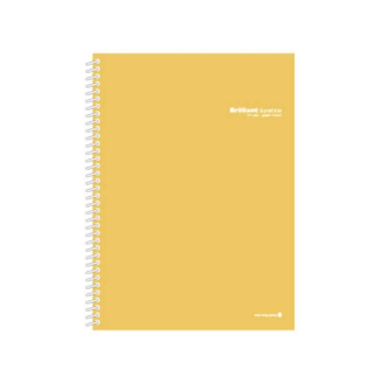 Large Vivid Spiral Lined Notebook