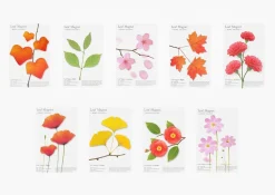 Leaf Magnet Set