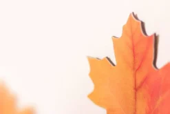 Leaf Magnet Set