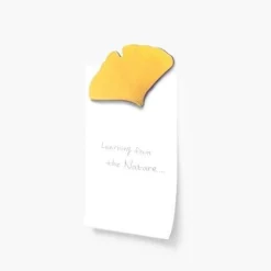 Leaf Magnet Set