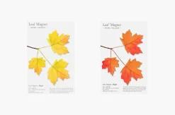 Leaf Magnet Set