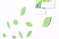 Leaf Magnet Set