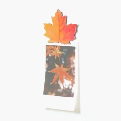 Leaf Magnet Set