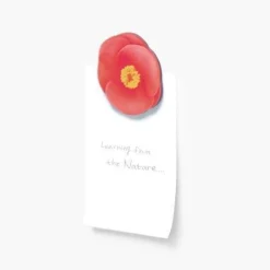 Leaf Magnet Set