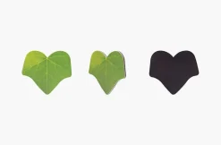 Leaf Magnet Set