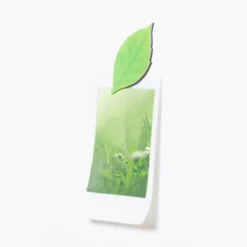 Leaf Magnet Set