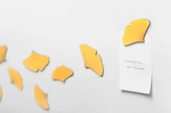 Leaf Magnet Set