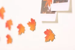 Leaf Magnet Set