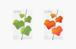 Leaf Magnet Set