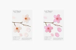 Leaf Magnet Set
