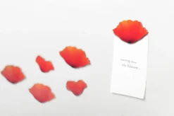 Leaf Magnet Set