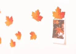 Leaf Magnet Set