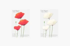 Leaf Magnet Set