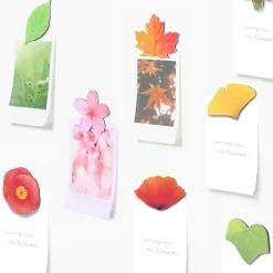 Leaf Magnet Set